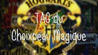 TAG du Choixpeau Magique [upl. by Ayad]