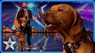 SINGING DOG performs cover of Summer of 69  Unforgettable Audition  Britains Got Talent [upl. by Rainer538]