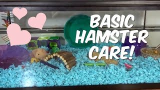 BASIC HAMSTER CARE [upl. by Atoel]