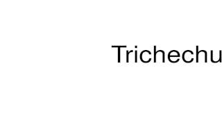 How to pronounce Trichechus [upl. by Nic]