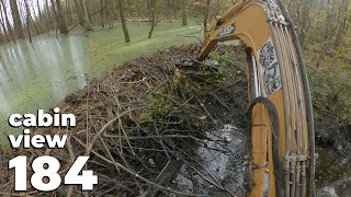 A Large Dam In The Middle Of The Forest  Beaver Dam Removal With Excavator No184  Cabin View [upl. by Chenay]