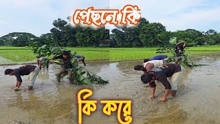 পেছনে কি।। কি করে সে।।Bangla Funny Video ।। Fun Deshi [upl. by Brian217]