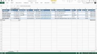 Microsoft Excel for Business Tutorial  Managing Customers Vendors and Employees  Part 1 [upl. by Alliuqa]