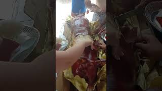 satisfying mukbang hall lechon asmr [upl. by Gosser56]