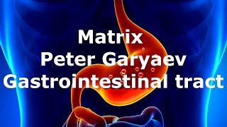 Matrix Peter Garyaev  Gastrointestinal tract  sound healing  quantum healing  view  DNA [upl. by Jorgensen221]