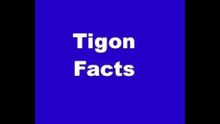 Tigon Facts  Facts About Tigons [upl. by Metts601]