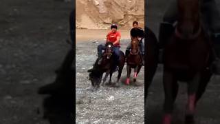 Afrosiyob chovandoz horse kokpar rek kupkari horselover ouzbekistan horseriding tjk лошади [upl. by Haidebez]