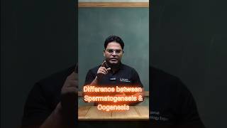 Difference between Spermatogenesis and Oogenesis l NCERT Biology Class 12th [upl. by Nagrom]