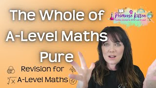 The Whole of A Level Maths  Pure  Revision for AQA Edexcel OCR AND WJEC [upl. by Serica]