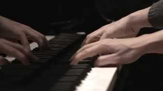 Bach Busoni Chaconne D Minor BWV 1004 Valentina Lisitsa [upl. by Carolyne]