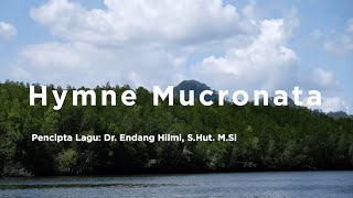 Hymne Mucronata [upl. by Monro]