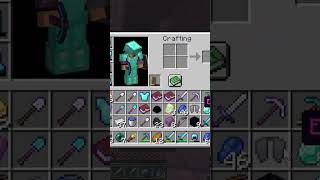 After taking elytra minecraft minecraftmemes [upl. by Veronika]