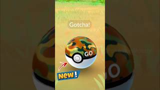 1st time Using SAFARI BALL in Pokemon GO [upl. by Daphene463]