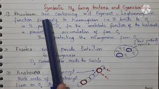 Nitrogenase Protection in Nitrogen fixing Bacteria and Cyanobacteria [upl. by Drofiar]