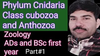 Class cubozoa and Anthozoa part1 [upl. by Asaret]