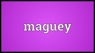 Maguey Meaning [upl. by Kloman382]