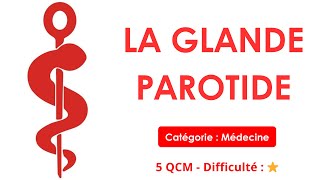 La glande parotide  5 QCM  Difficulté  ⭐ [upl. by Aleusnoc]