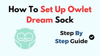 How To Set Up Owlet Dream Sock [upl. by Brenda]