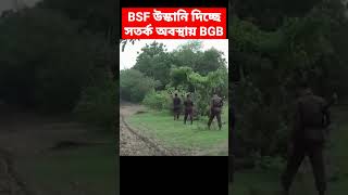 BSF vs BGB at India Bangladesh Border [upl. by Nagear126]