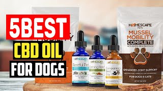 Top 5 Best CBD Oil for Dogs in 2023 [upl. by Weitman]