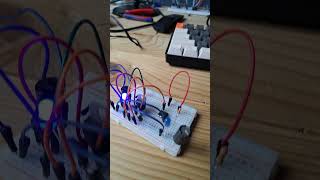 Attiny 85 on 24VDC blink on breadbord attiny85 [upl. by Anileve]