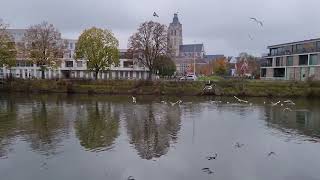 Oudenaarde wandeling langs de Schelde [upl. by Yasmin782]