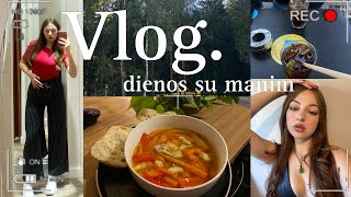 Vlog DRAUGAI DARBAS charčio sriubytės RECEPTAS [upl. by Yakcm]