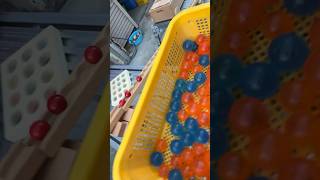 Marble Run☆Red balls rolling down a long wooden snake course asmr [upl. by Nnaillek]