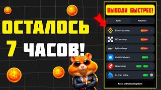 ПОСМОТРИ ЭТО ВИДЕОЕСЛИ НЕ ВЫВОДИЛ МОНЕТЫ HAMSTER KOMBAT  ЧТО ДЕЛАТЬ ЕСЛИ НЕ УСПЕЛ ВЫВЕСТИ МОНЕТЫ [upl. by Aihpos]