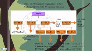 IEEE 802 Wireless Standards [upl. by Sandon162]