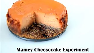 Mamey Cheesecake Dessert Recipe [upl. by Ragse]