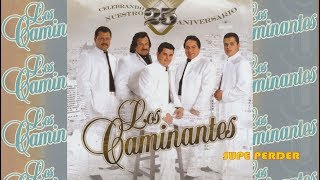 Los Caminantes  Supe Perder Canción Completa [upl. by Rizika]