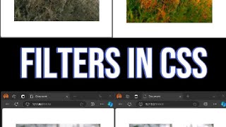 How to use filters in css [upl. by Nitsirt954]