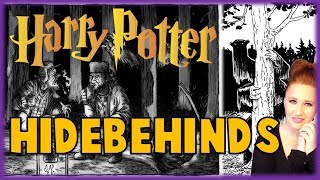 Hidebehinds Harry Potter Creatures [upl. by Aicelef]