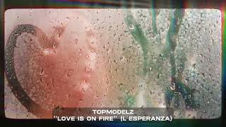 Topmodelz  Love Is On Fire L´Esperanza Pulsedriver Remix [upl. by Gabbey]