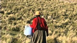 Sunimarca comunidad rural andina en Ayaviri Puno  Perú [upl. by Archibaldo327]