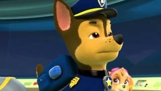 Paw Patrol English Pups Save Christmas part 14 brief episode [upl. by Eselrahc759]