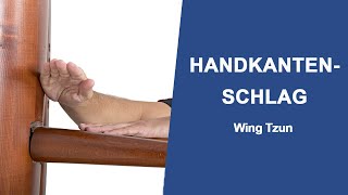 Handkantenschlag FakSao amp ChanSao Technik lernen an der Holzpuppe [upl. by Niamor907]