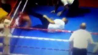 Croatian Boxer KOs Referee in European Youth Championships Vido Loncar 2014 [upl. by Nirraj245]