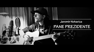 Pane Prezidente  Jaromír Nohavica Cover [upl. by Feodor340]