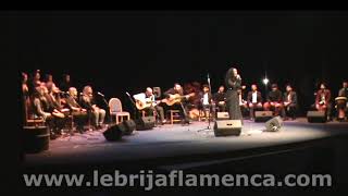 Zambomba Flamenca de la Hdad de los Gitanos de Lebrija 2018ANABEL VALENCIA [upl. by Llovera216]