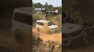 Thar💪 के आगे zero🤯🤯 viralshort trending ytshorts shorts shortsfeed scarpio thar offroading [upl. by Neidhardt]