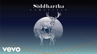 Siddhartha  Camuflaje Cover Audio [upl. by Price166]