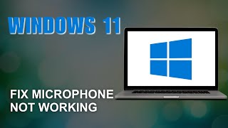 Fix Microphone Not Working on Windows 11 [upl. by Anaher679]