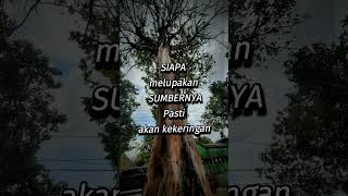 SubhanallahSenantiasa ingat pada Maha Pengasih dan Penyayang music love [upl. by Suoirred936]