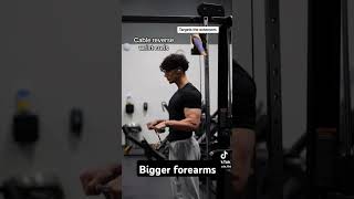 how to get bigger forearms nutriflex1 shorts gymmotivation workfromhome shortvideo [upl. by Apoor]