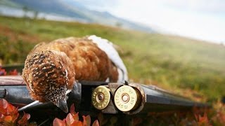 Rypejakt 2014Grouse hunt in NorwayFullHD [upl. by Oriana313]