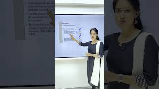 Structure of DNA 🧬  NCERT Biology Class 1112  Quick Overview [upl. by Sudhir]