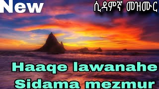 Sidama protestant song [upl. by Haelem487]