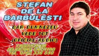 Stefan de la Barbulesti  Dar Dumnezeu vede tot Oficial Audio [upl. by Jessabell]